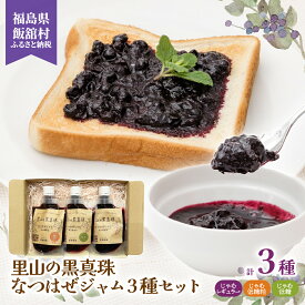 【ふるさと納税】里山の黒真珠 なつはぜジャム3種セット ジャム ナツハゼ 名物 特産 ポリフェノール 抗酸化 疲労回復 健康 美容 便利 小分け 贈答 プレゼント ギフト 使いやすい 朝食 手作り 贈り物 ニコニコ菅野農園 ふるさと納税 人気 おすすめ 復興 福島 飯舘村 ITTAA003