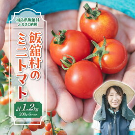 【ふるさと納税】【8月中旬以降発送】飯舘村のミニトマト 【 ふるさと納税 人気 おすすめ ランキング ミニトマト 野菜 高原野菜 復興 福島 阿武隈 飯舘村 送料無料 】ITTAO001