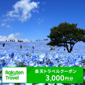 【ふるさと納税】茨城県内の対象施設で使える楽天トラベルクーポン 寄付額10,000円 （クーポン3,000円）【旅行 トラベル 旅行券 宿泊券 予約 チケット ホテル 観光 楽天限定】