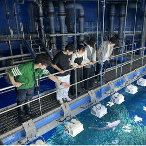 yӂ邳Ɣ[Łzyӂ邳Ɣ[ŌzANA[h錧ف@̌cA[yzsnFEꌧzy1486314z