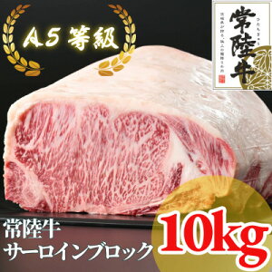 yӂ邳Ɣ[Łzy헤zA5 T[CubN 10kgyzsnFEꌧzy1517957z