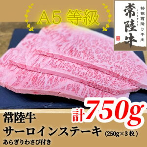 yӂ邳Ɣ[Łz헤(Ђイ)A5 T[CXe[L@750g(250g×3)炬킳1{tyzsnFEꌧzy1520025z