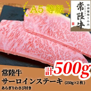 yӂ邳Ɣ[Łz헤(Ђイ)A5 T[CXe[L@500g(250g×2)炬킳1{tyzsnFEꌧzy1520027z