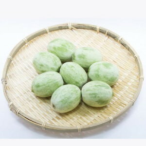 yӂ邳Ɣ[ŁzyHpz錧gcsY Eʃ(q)5kgyzsnFEꌧzy1592820z