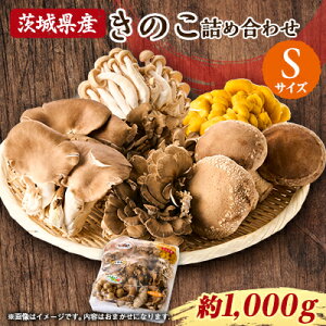 yӂ邳Ɣ[Łz錧闢Y ̂̋lߍ킹 STCY 1kgyzsnFEꌧzy1593968z