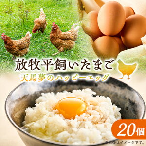 yӂ邳Ɣ[ŁzVñnbs[GbO 20yzsnFEꌧzy1595009z