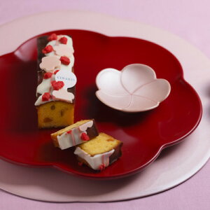 yӂ邳Ɣ[ŁzpEhP[L@˔T~yzsnFEꌧzy1595872z