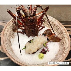 【ふるさと納税】常陸乃国いせ海老 1尾(600〜700g) 冷凍【配送不可地域:離島・沖縄県】【1597555】