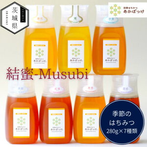 yӂ邳Ɣ[Łz錧Y Y VR݂͂ cɂ݂͂ 280g×7ރZbg -Musubi B7yzsnFEꌧzy1605552z