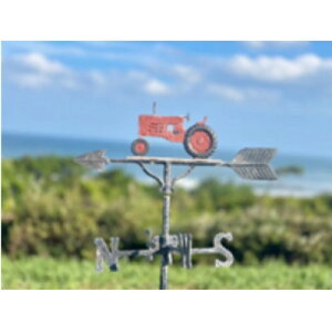 yӂ邳Ɣ[ŁzytamaCterrassezGfڑ!LȑmՂ!Lvh⏕(1~)yzsnFEꌧzy1617256z