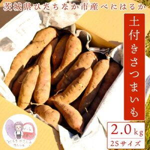 yӂ邳Ɣ[Łzys\z11{蔭!錧 ЂȂY ܂ g͂邩 2kgy󂠂zyzsnFEꌧzy1631624z