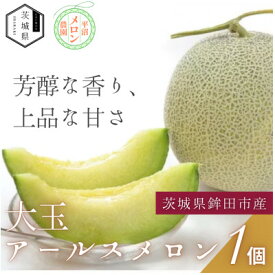 【ふるさと納税】【優秀賞受賞農家直送】鉾田市産 アールスメロン 2.0kg以上×1玉(※26年8月～発送予定)【配送不可地域：離島・沖縄県】【1644495】
