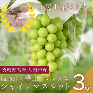 yӂ邳Ɣ[Łzyʌ!zORʎ̃v~AVC}XJbg@3[(3kgȏ)yzsnFEꌧzy1645138z