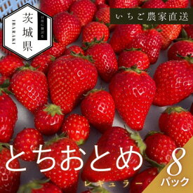 【ふるさと納税】【2026年1月より順次発送予定】風早いちご園 とちおとめ レギュラー 250g×8パック【配送不可地域：離島・北海道・沖縄県】【1647794】