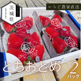 【ふるさと納税】【2026年1月順次発送】風早いちご園 とちおとめ 特選デラックス 2パック【配送不可地域：離島・北海道・沖縄県】【1647797】