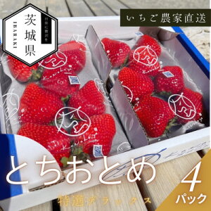 yӂ邳Ɣ[Łzy2026N1z ƂƂ IfbNX 4pbNyzsnFEkCEꌧzy1647798z