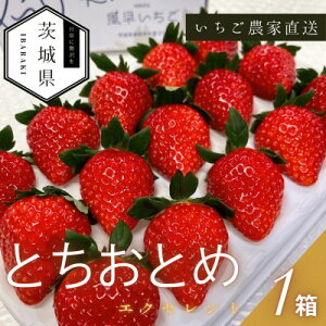 yӂ邳Ɣ[Łzy2026N1菇\z ƂƂ GNZg 1(12or15)yzsnFEkCEꌧzy1647799z