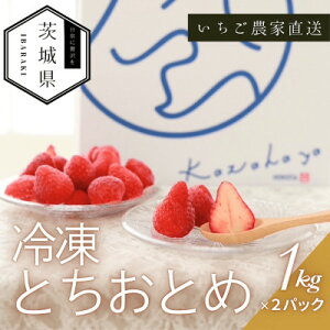yӂ邳Ɣ[Łz ƂƂ Ⓚ2kg(1kg×2pbN) ^Ⓚ ۑyzsnFEꌧzy1647801z