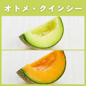 yӂ邳Ɣ[Łz錧YIgENCV[ZbgDi܂͏Gi3Lȏ2ʓy2026N4{ȍ~zyzsnFEkCEꌧEElEBzy1686249z