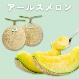 【ふるさと納税】糖度13度以上!茨城県産 アールスメロン 2玉入り【先行予約　2026年9月下旬以降順次発送】【配送不可地域：離島・北海道・沖縄県・中国・四国・九州】【1686256】