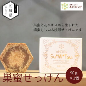 yӂ邳Ɣ[ŁzyzƉԃGLX琶܂ꂽZՂ点yzsnFEꌧzy1690627z