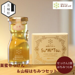 yӂ邳Ɣ[ŁzyzZՂ点ƎR݂͂ZbgyzsnFEꌧzy1690629z