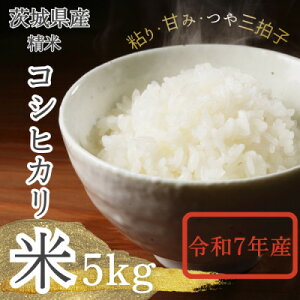 �y�ӂ邳�Ɣ[�Łz�y��錧�Y�z2025�N�V�� ��錧�Y �R�V�q�J����(����)5kg�y�z���s�n��F�����E���ꌧ�z�y1696591�z