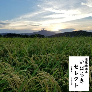 �y�ӂ邳�Ɣ[�Łz��錧�Y�����Ђ���~�b�N�X ����5kg �ߘa7�N�Y�y�z���s�n��F�����E���ꌧ�z�y1700053�z