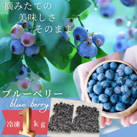 【ふるさと納税】【茨城県産】冷凍ブルーベリー1kg(500g×2パック)【配送不可地域：離島・沖縄県】【1735249】