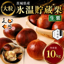 楽天市場】生栗の通販
