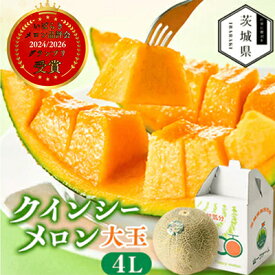 【ふるさと納税】【先行予約】令和9年5月順次発送 茨城県産 山一ファーム クインシーメロン 大玉4L～5L・1～2玉_ メロン フルーツ 果物 くだもの クインシーメロン 大玉 人気 おすすめ 送料無料 【配送不可地域：離島・沖縄県】【G1590730】