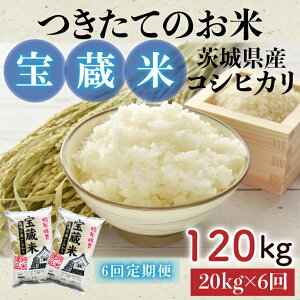yӂ邳Ɣ[ŁzyIׂzyߘa7NYz錧YRVqJ 󑠕 20kg 20kg×3 20kg×4 20kg×5 20kg×6y   er Ђ Ă̂ HLOA] 錧 