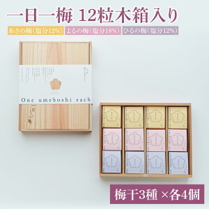 【ふるさと納税】【数量限定】一日一梅 12粒木箱入り(梅干3種 ×各4個)【梅干 梅干し うめぼし 水戸市 茨城県】(CU-3)