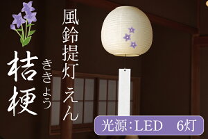yӂ邳Ɣ[Łz  j[y LED a CeA ԐڏƖ  ~ ~p 錧 ˎsziCX-17j