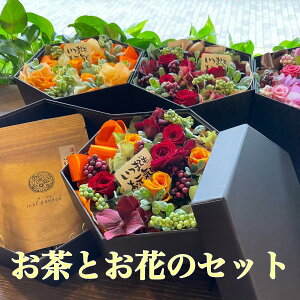 yӂ邳Ɣ[Łz vU[uht[ v[g Mtg XC[cMtg AW 蕨 ԂƂZbg  ΂iDR-14j