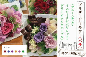 【ふるさと納税】【色が選べる】プリザーブドフラワー【ブリザードフラワー バラ 花 おしゃれ 誕生日 サプライズ プリザーブドアレンジ フラワーアレンジ 送別 退職祝 結婚祝い 定年 退職祝い お誕生日 結婚記念日 お花 贈り物 ギフト】（DR-19）