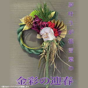 yӂ邳Ɣ[Łzy11{菇zyʌz  _ ߓ  _  [X  }V ߓ  ʂ̌}tiDR-36j