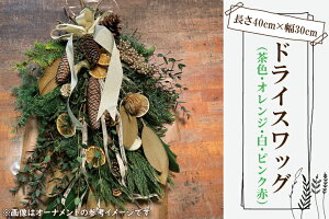 yӂ邳Ɣ[ŁzhCɂȂXbO hCXbOyXbO t[AWg AWg hCt[ { qo qmL j Mtg 蕨 ˎs  錧z