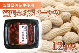 【ふるさと納税】茨城県落花生使用　宮田のミソピーナツ【宮田卯之商店 大粒 甘辛 ご飯のお供 おつまみ 肴 水戸市 茨城県】（EL-1）