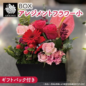 yӂ邳Ɣ[ŁzBOXAWgt[ijMtgobOtyt[AW o KN J[l[V  Mtg 蕨 ˎs  錧 20000~ȓ 2~ȓziES-6j