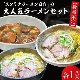 【ふるさと納税】【日時指定必須】「スタミナラーメン日向」の大人気ラーメンセット（スタミナ1、味噌1、カレー1）【ラーメン 麺 スタミナ 冷やし ラーメン ご当地ラーメン ご当地グルメ 茨城県 水戸市】（FF-9）