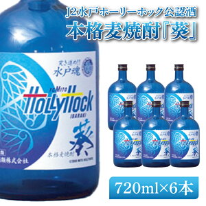 yӂ邳Ɣ[ŁzJ2˃z[[zbNF {iĒwx720ml 6{ZbgyĒ Ē   TbJ[ J[O ˎs 錧ziDW-52j