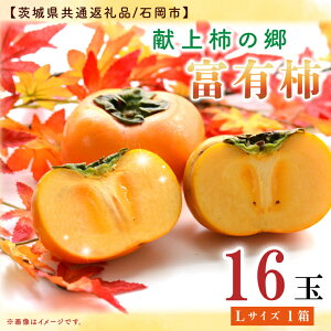 yӂ邳Ɣ[Łzy11{蔭z`oבg̕xL`L 16ʁy錧ʕԗi^Ήszy`  JL t[c ʕ  ` ӂ邳Ɣ[ ˎs 錧ziGP-1-3j