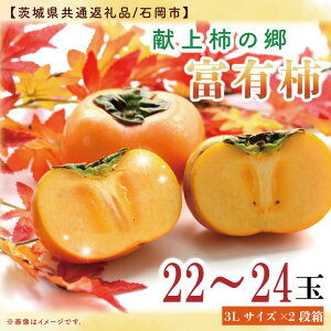 yӂ邳Ɣ[Łzy11{蔭z`oבg̕xL`3L 22`24ʁy錧ʕԗi^Ήszy `  ʕ t[c 錧 cziGP-4j