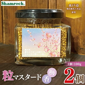 yӂ邳Ɣ[ŁzyˎsDǊόyYizShamrock }X^[h ~ 2y}X^[h 炵  ~ h  Ԃ ˎs 錧ziFE-17j