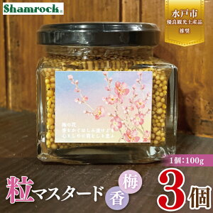 yӂ邳Ɣ[ŁzyˎsDǊόyYizShamrock }X^[h ~ 3y}X^[h 炵  ~ h  Ԃ ˎs 錧ziFE-18j