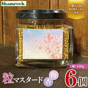 yӂ邳Ɣ[ŁzyˎsDǊόyYizShamrock }X^[h ~ 6y}X^[h 炵  ~ h  Ԃ ˎs 錧ziFE-19j