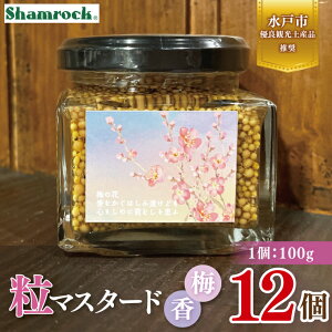 yӂ邳Ɣ[ŁzyˎsDǊόyYizShamrock }X^[h ~ 12y}X^[h 炵  ~ h  Ԃ ˎs 錧ziFE-20j