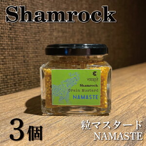 yӂ邳Ɣ[ŁzShamrock}X^[hiNAMASTEi}Xej3y }X^[h XpCX }X^[h  n ECi[ \[Z[W   ؁ziFE-106j
