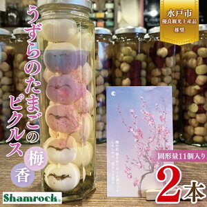 yӂ邳Ɣ[ŁzyˎsLόyYizShamrock ̂܂̃sNX ~ 2{yԂ  sNX Е ~ \[X ˎs 錧ziFE-9j